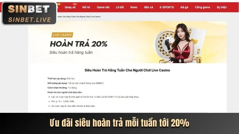 Giao diện tổng quan nền tảng EE88